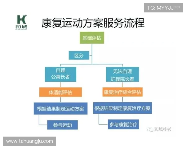 运动与健康的完美融合：探索提升体能与增强免疫力的科学方法