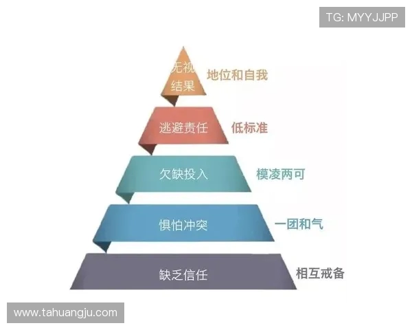 成都羽毛球队团队协作引发热议争议背后的默契与挑战分析